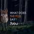 Tobu - The Fox (Instrumental)